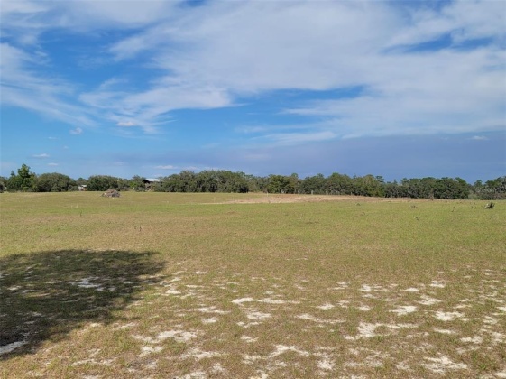ANDERSON ROAD, LAKE WALES, Florida 33898, ,Land,For Sale,ANDERSON,P4919758