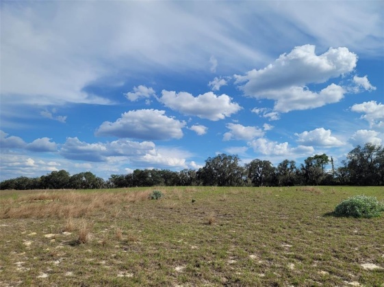 ANDERSON ROAD, LAKE WALES, Florida 33898, ,Land,For Sale,ANDERSON,P4919758