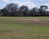 ANDERSON ROAD, LAKE WALES, Florida 33898, ,Land,For Sale,ANDERSON,P4919758