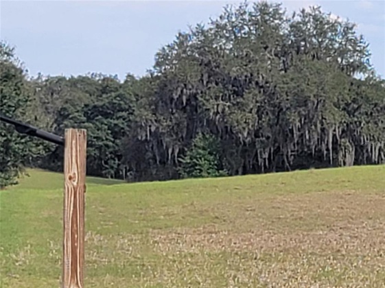 ANDERSON ROAD, LAKE WALES, Florida 33898, ,Land,For Sale,ANDERSON,P4919758