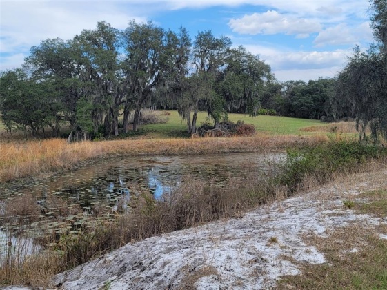 ANDERSON ROAD, LAKE WALES, Florida 33898, ,Land,For Sale,ANDERSON,P4919758