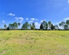 831 WATERFERN TRAIL DRIVE, AUBURNDALE, Florida 33823, ,Land,For Sale,WATERFERN TRAIL,P4919760