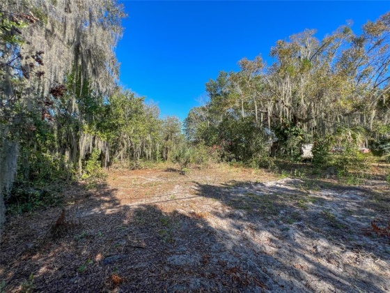3130 SPIRIT LAKE ROAD, WINTER HAVEN, Florida 33880, ,Land,For Sale,SPIRIT LAKE,P4919765