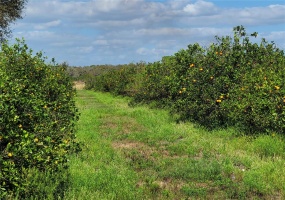 OLD BOWLING GREEN ROAD, FORT MEADE, Florida 33841, ,Land,For Sale,OLD BOWLING GREEN,B4900947