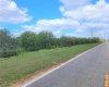 OLD BOWLING GREEN ROAD, FORT MEADE, Florida 33841, ,Land,For Sale,OLD BOWLING GREEN,B4900947