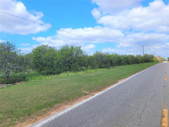 OLD BOWLING GREEN ROAD, FORT MEADE, Florida 33841, ,Land,For Sale,OLD BOWLING GREEN,B4900947