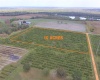 OLD BOWLING GREEN ROAD, FORT MEADE, Florida 33841, ,Land,For Sale,OLD BOWLING GREEN,B4900947