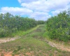 1900 DAVIS ROAD, FORT MEADE, Florida 33841, ,Land,For Sale,DAVIS,B4900948
