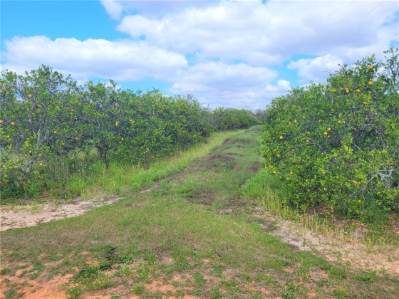 1900 DAVIS ROAD, FORT MEADE, Florida 33841, ,Land,For Sale,DAVIS,B4900948