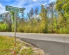 VAN FLEET TRAIL, POLK CITY, Florida 33868, ,Land,For Sale,VAN FLEET,T3358855