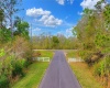 VAN FLEET TRAIL, POLK CITY, Florida 33868, ,Land,For Sale,VAN FLEET,T3358855