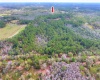 VAN FLEET TRAIL, POLK CITY, Florida 33868, ,Land,For Sale,VAN FLEET,T3358855