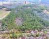 VAN FLEET TRAIL, POLK CITY, Florida 33868, ,Land,For Sale,VAN FLEET,T3358855