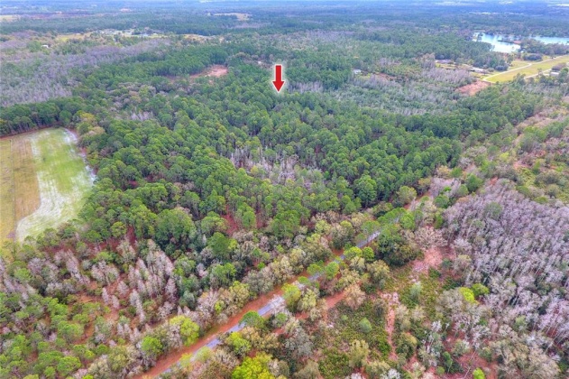 VAN FLEET TRAIL, POLK CITY, Florida 33868, ,Land,For Sale,VAN FLEET,T3358855