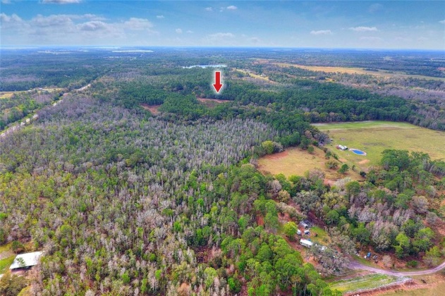 VAN FLEET TRAIL, POLK CITY, Florida 33868, ,Land,For Sale,VAN FLEET,T3358855