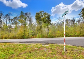 VAN FLEET TRAIL, POLK CITY, Florida 33868, ,Land,For Sale,VAN FLEET,T3358855