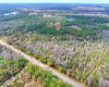 VAN FLEET TRAIL, POLK CITY, Florida 33868, ,Land,For Sale,VAN FLEET,T3358855