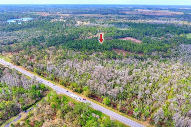 VAN FLEET TRAIL, POLK CITY, Florida 33868, ,Land,For Sale,VAN FLEET,T3358855