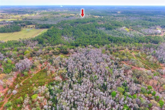 VAN FLEET TRAIL, POLK CITY, Florida 33868, ,Land,For Sale,VAN FLEET,T3358855