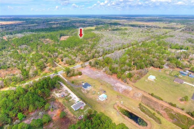 VAN FLEET TRAIL, POLK CITY, Florida 33868, ,Land,For Sale,VAN FLEET,T3358855