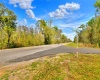 VAN FLEET TRAIL, POLK CITY, Florida 33868, ,Land,For Sale,VAN FLEET,T3358855