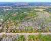 VAN FLEET TRAIL, POLK CITY, Florida 33868, ,Land,For Sale,VAN FLEET,T3358855