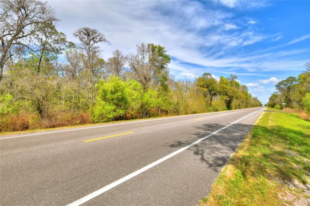 VAN FLEET TRAIL, POLK CITY, Florida 33868, ,Land,For Sale,VAN FLEET,T3358855