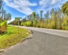 VAN FLEET TRAIL, POLK CITY, Florida 33868, ,Land,For Sale,VAN FLEET,T3358855