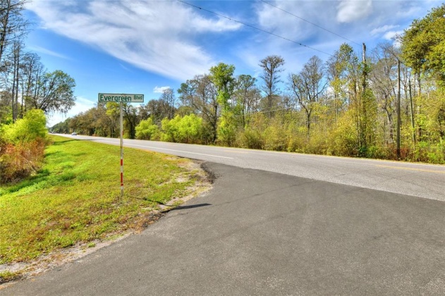 VAN FLEET TRAIL, POLK CITY, Florida 33868, ,Land,For Sale,VAN FLEET,T3358855