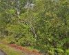 0 US HWY 98, FROSTPROOF, Florida 33843, ,Land,For Sale,US HWY 98,U8154323