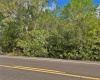 0 US HWY 98, FROSTPROOF, Florida 33843, ,Land,For Sale,US HWY 98,U8154323