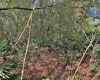 0 US HWY 98, FROSTPROOF, Florida 33843, ,Land,For Sale,US HWY 98,U8154323