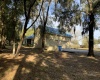 102 CITRUS GROVE BOULEVARD, POLK CITY, Florida 33868, 5 Bedrooms Bedrooms, ,4 BathroomsBathrooms,Residential,For Sale,CITRUS GROVE,O6008137