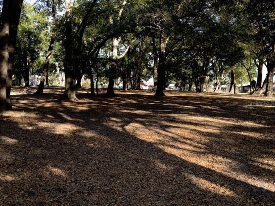 102 CITRUS GROVE BOULEVARD, POLK CITY, Florida 33868, 5 Bedrooms Bedrooms, ,4 BathroomsBathrooms,Residential,For Sale,CITRUS GROVE,O6008137