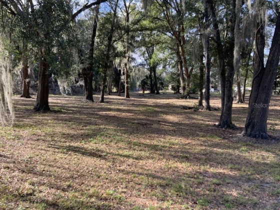 102 CITRUS GROVE BOULEVARD, POLK CITY, Florida 33868, 5 Bedrooms Bedrooms, ,4 BathroomsBathrooms,Residential,For Sale,CITRUS GROVE,O6008137