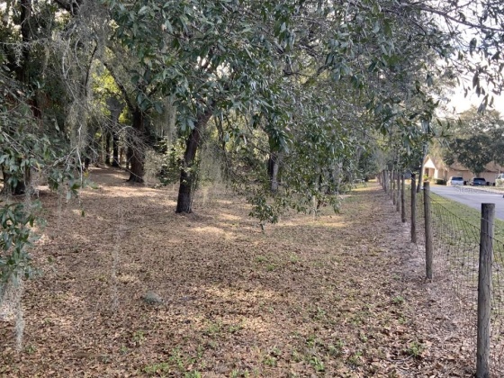 102 CITRUS GROVE BOULEVARD, POLK CITY, Florida 33868, 5 Bedrooms Bedrooms, ,4 BathroomsBathrooms,Residential,For Sale,CITRUS GROVE,O6008137
