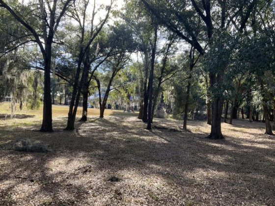 102 CITRUS GROVE BOULEVARD, POLK CITY, Florida 33868, 5 Bedrooms Bedrooms, ,4 BathroomsBathrooms,Residential,For Sale,CITRUS GROVE,O6008137