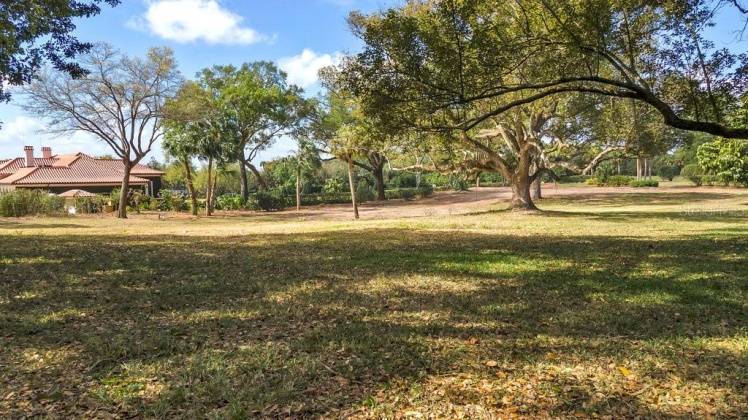 2300 SCENIC HIGHWAY, LAKE WALES, Florida 33898, ,Land,For Sale,SCENIC,P4919796