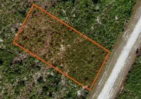 SARASOTA DRIVE, LAKE WALES, Florida 33898, ,Land,For Sale,SARASOTA,O5997180