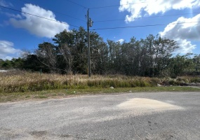 1287 NELSON PARK COURT, POINCIANA, Florida 34759, ,Land,For Sale,NELSON PARK,O6007497