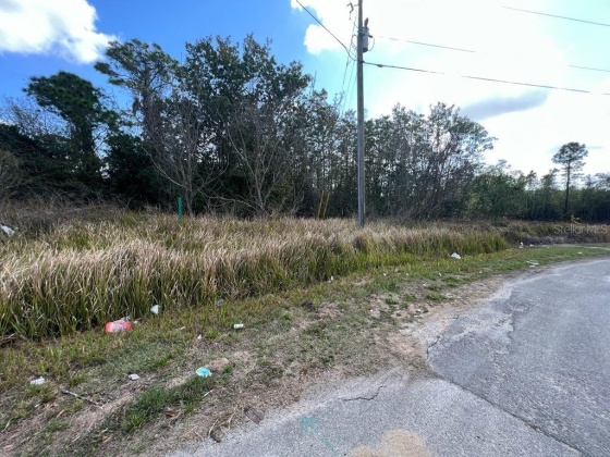 1287 NELSON PARK COURT, POINCIANA, Florida 34759, ,Land,For Sale,NELSON PARK,O6007497