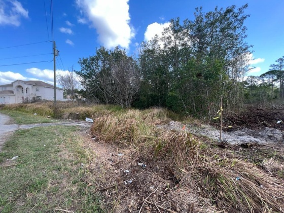 1287 NELSON PARK COURT, POINCIANA, Florida 34759, ,Land,For Sale,NELSON PARK,O6007497