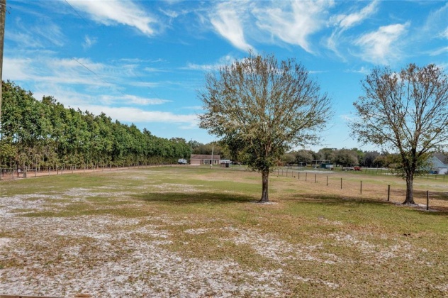 570 OLD BARTOW LAKE WALES ROAD, BARTOW, Florida 33830, 3 Bedrooms Bedrooms, ,2 BathroomsBathrooms,Residential,For Sale,OLD BARTOW LAKE WALES,P4919790