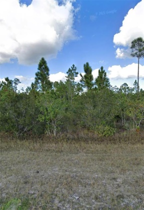 1008 CALLIANDRA DRIVE, INDIAN LAKE ESTATES, Florida 33855, ,Land,For Sale,CALLIANDRA,S5064053