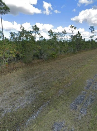 1008 CALLIANDRA DRIVE, INDIAN LAKE ESTATES, Florida 33855, ,Land,For Sale,CALLIANDRA,S5064053