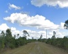 1008 CALLIANDRA DRIVE, INDIAN LAKE ESTATES, Florida 33855, ,Land,For Sale,CALLIANDRA,S5064053