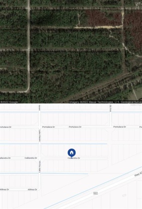 1008 CALLIANDRA DRIVE, INDIAN LAKE ESTATES, Florida 33855, ,Land,For Sale,CALLIANDRA,S5064053