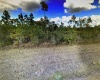 1008 CALLIANDRA DRIVE, INDIAN LAKE ESTATES, Florida 33855, ,Land,For Sale,CALLIANDRA,S5064053