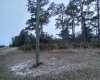 801 HIBISCUS DRIVE, LAKE WALES, Florida 33898, ,Land,For Sale,HIBISCUS,O6009414