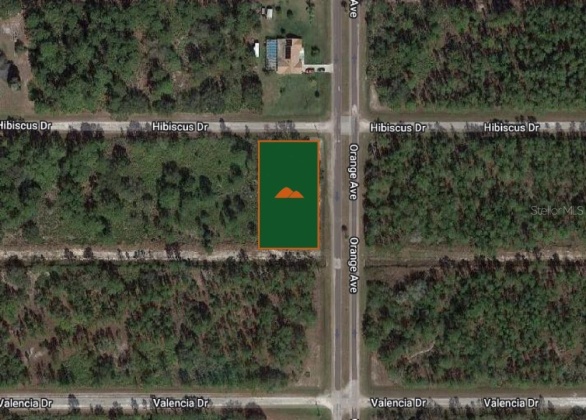 801 HIBISCUS DRIVE, LAKE WALES, Florida 33898, ,Land,For Sale,HIBISCUS,O6009414